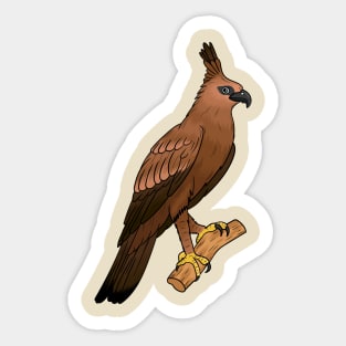 Javan hawk eagle bird cartoon illustration Sticker